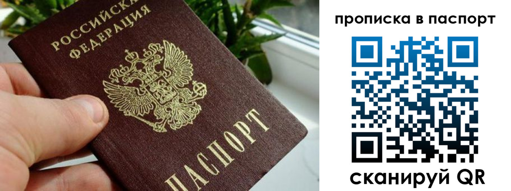 пропишу в квартире в Гаджиево